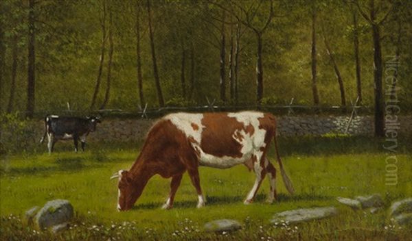 Grazing Cattle by Clinton Loveridge