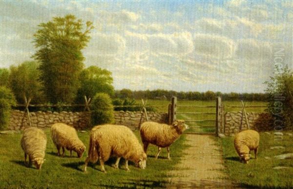 The Grazing Flock Oil Painting by Clinton Loveridge