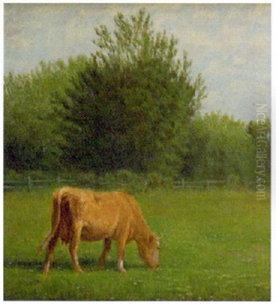 Cow Grazing Oil Painting by Clinton Loveridge