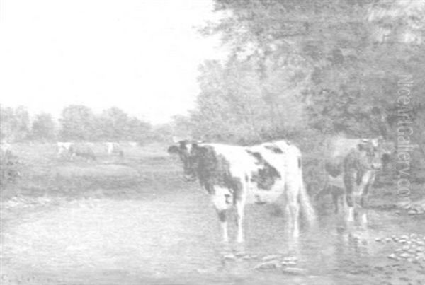 Cows Watering In A Stream Oil Painting by Clinton Loveridge