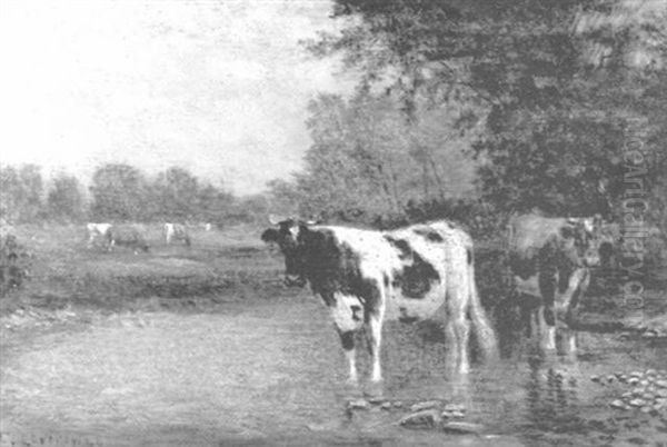 Cows Wading And Watering In A Stream Oil Painting by Clinton Loveridge