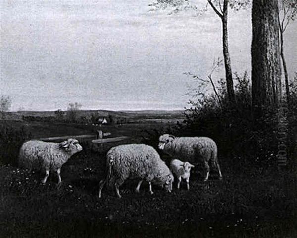 Landscape With Sheep Grazing Oil Painting by Clinton Loveridge