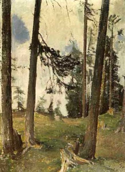 Arvenstudie Engadin Oil Painting by Rudolf Loew