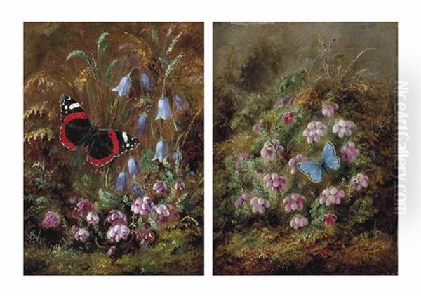 A Red Admiral Butterfly Among Hairbells; And A Silver Studded Blue Butterfly Amongst Heather Oil Painting by Albert Durer Lucas