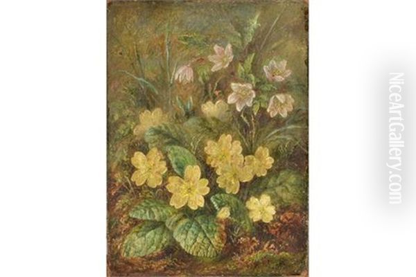 Wild Primroses Oil Painting by Albert Durer Lucas