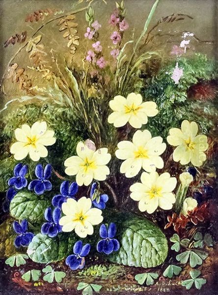 Still Life Of Wild Flowers Oil Painting by Albert Durer Lucas