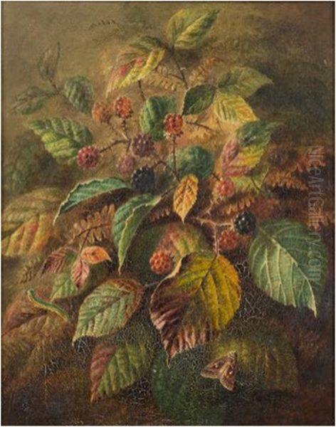 Blackberries And A Silver Y Moth Oil Painting by Albert Durer Lucas