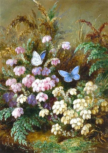 Cross Leaved Heath(er) White And Red, Lady Fern, Pair Of Azure Blue Butterflies Oil Painting by Albert Durer Lucas