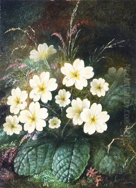 Primroses Oil Painting by Albert Durer Lucas