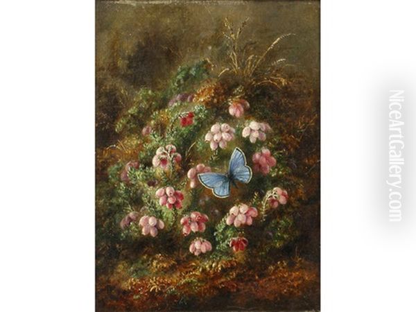 The Blue Buttefly Oil Painting by Albert Durer Lucas