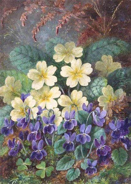 Primroses And Violets Oil Painting by Albert Durer Lucas