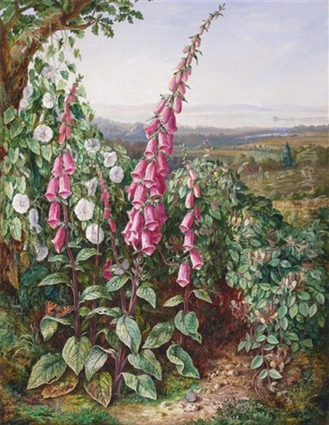 A Cornfield With Poppies, Cornflowers, Mallow And Distant Scenery And Foxgloves, Honeysuckle And Convolvulus On A Hill The Coast Beyond (pair) Oil Painting by Albert Durer Lucas