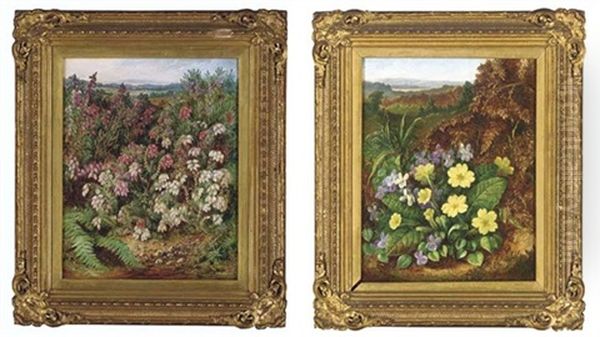 Violets And Primroses In A Hedge (+ Red And White Heather; Pair) Oil Painting by Albert Durer Lucas