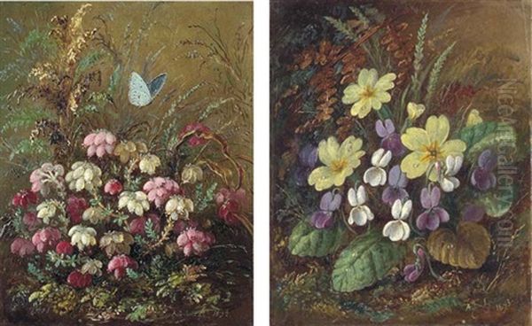 Cross-leaved Heath (+ Primroses And Violets, 1893; 2 Works) Oil Painting by Albert Durer Lucas