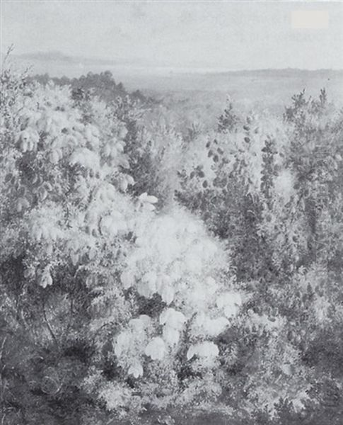 Flowering Shrubs At Southampton Oil Painting by Albert Durer Lucas