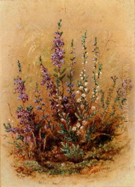 Scotch Heather And Deer Grass Oil Painting by Albert Durer Lucas