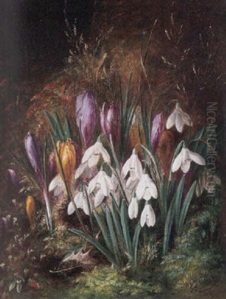 Spring Flowers Oil Painting by Albert Durer Lucas