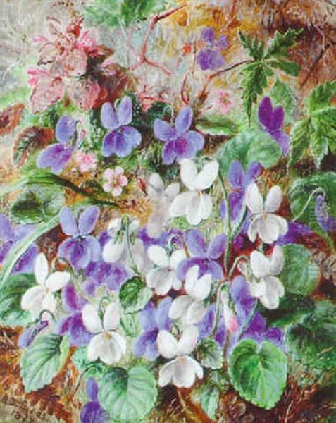 Wild Violets Oil Painting by Albert Durer Lucas