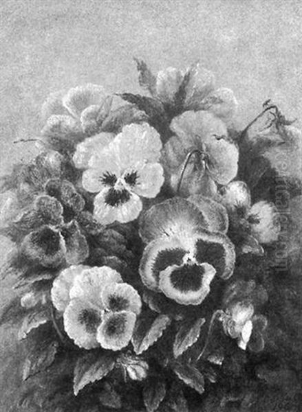 A Still Life Of Pansies Oil Painting by Albert Durer Lucas