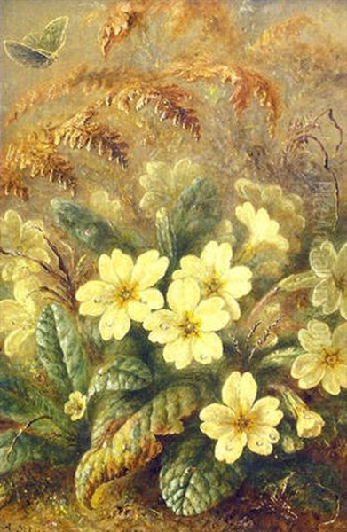 A Still Life Of Primroses Oil Painting by Albert Durer Lucas