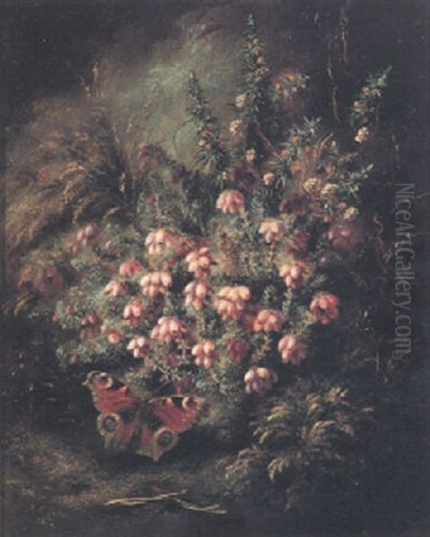 Still Life With Heather And Peacock Oil Painting by Albert Durer Lucas