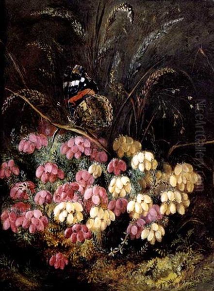 Heather And Red Admiral Oil Painting by Albert Durer Lucas