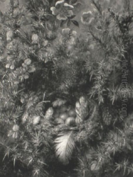 A Robin's Nest Amid A Thorny Bush Oil Painting by Albert Durer Lucas