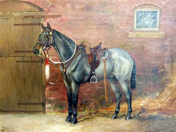 Billy-a Ladysmith Veteran Oil Painting by Henry Frederick Lucas Lucas