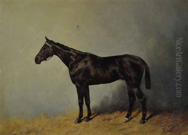 Dragoon Oil Painting by Henry Frederick Lucas Lucas