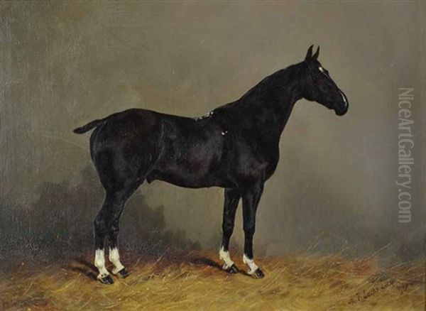 Whitesocks Oil Painting by Henry Frederick Lucas Lucas