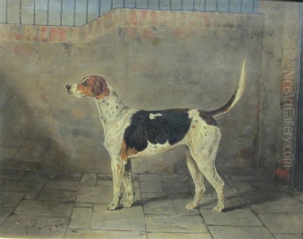 Gaylass, A Foxhound In A Stable Oil Painting by Henry Frederick Lucas Lucas