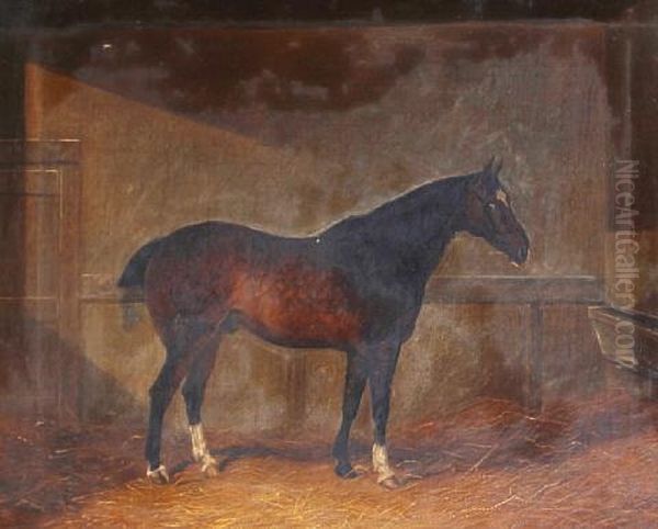 Dobbin - A Dappled Chestnut Hunter In A Stable Oil Painting by Henry Frederick Lucas Lucas