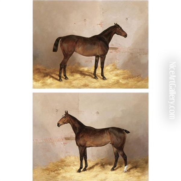 Portrait Of "pantaloon" In A Stable (+ Portrait Of "royal" In A Stable;' Pair) Oil Painting by Henry Frederick Lucas Lucas