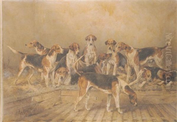 A Group Of Percy Hounds 