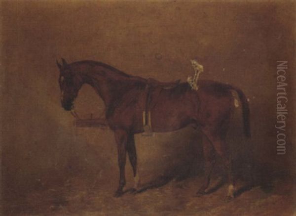 A Saddled Chestnut Polo Pony In A Stable Oil Painting by Henry Frederick Lucas Lucas