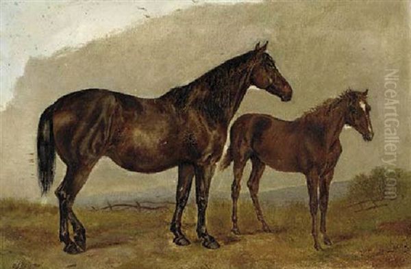 A Mare And Foal In A Field Oil Painting by Henry Frederick Lucas Lucas