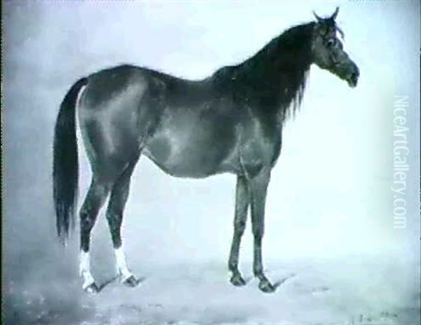 Mint Sauce, A Bay Racehorse In A Stable Oil Painting by Henry Frederick Lucas Lucas