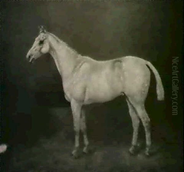 Portrait Of Whetstone In A Stall Oil Painting by Henry Frederick Lucas Lucas