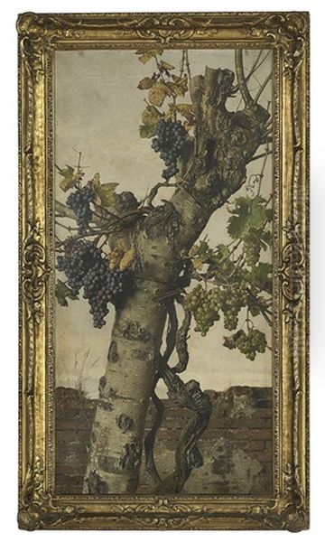 The Bountiful Grapevine Oil Painting by Giorgio Lucchesi