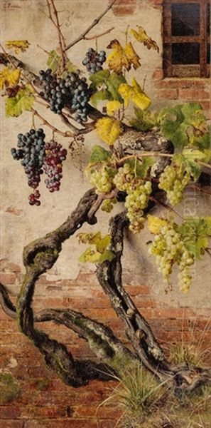 Red And White Grapes Growing Against A Brick Wall Oil Painting by Giorgio Lucchesi