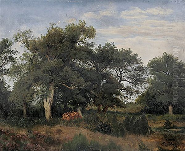 Waldstuck Mit Aufgeschichtetem Holzstos Oil Painting by Carl Julius E. Ludwig