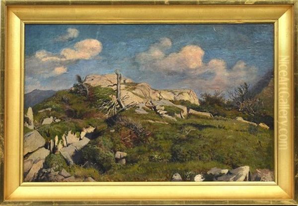 Etude De Rochers Et Souche (study) Oil Painting by Albert Lugardon