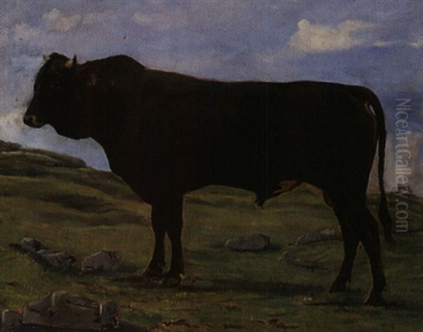 Schwarzer Stier Auf Alpweide Oil Painting by Albert Lugardon