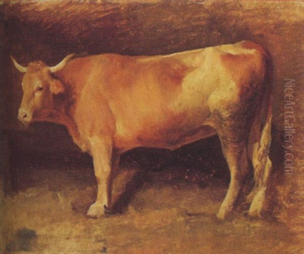 Rind Im Stall Oil Painting by Albert Lugardon