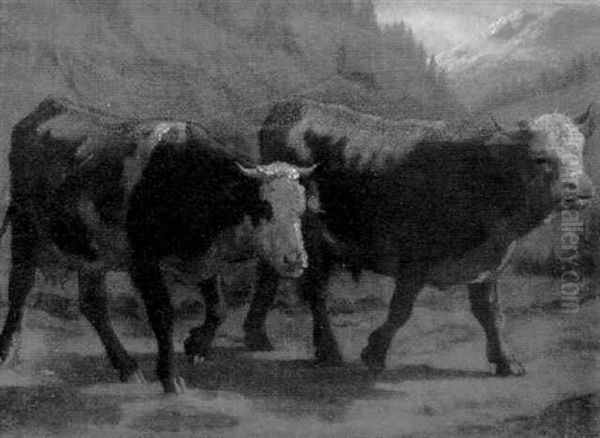 Stier Und Kuh Im Gebirge Oil Painting by Albert Lugardon