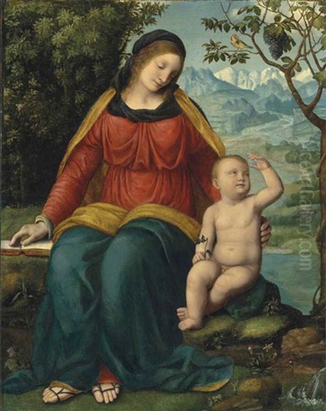 Madonna Of The Grapevine Oil Painting by Bernardino Luini