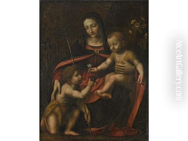 The Virgin And Child With The Infant St. John The Baptist Oil Painting by Bernardino Luini