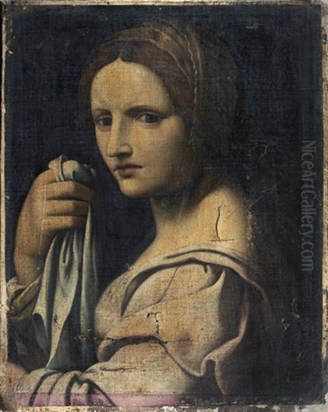 Portrait De Jeune Femme En Buste Oil Painting by Bernardino Luini