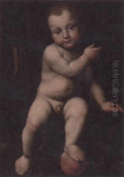 The Infant St. John Oil Painting by Bernardino Luini