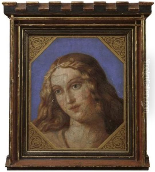 Der Kopf Einer Jungen Frau Oil Painting by Bernardino Luini